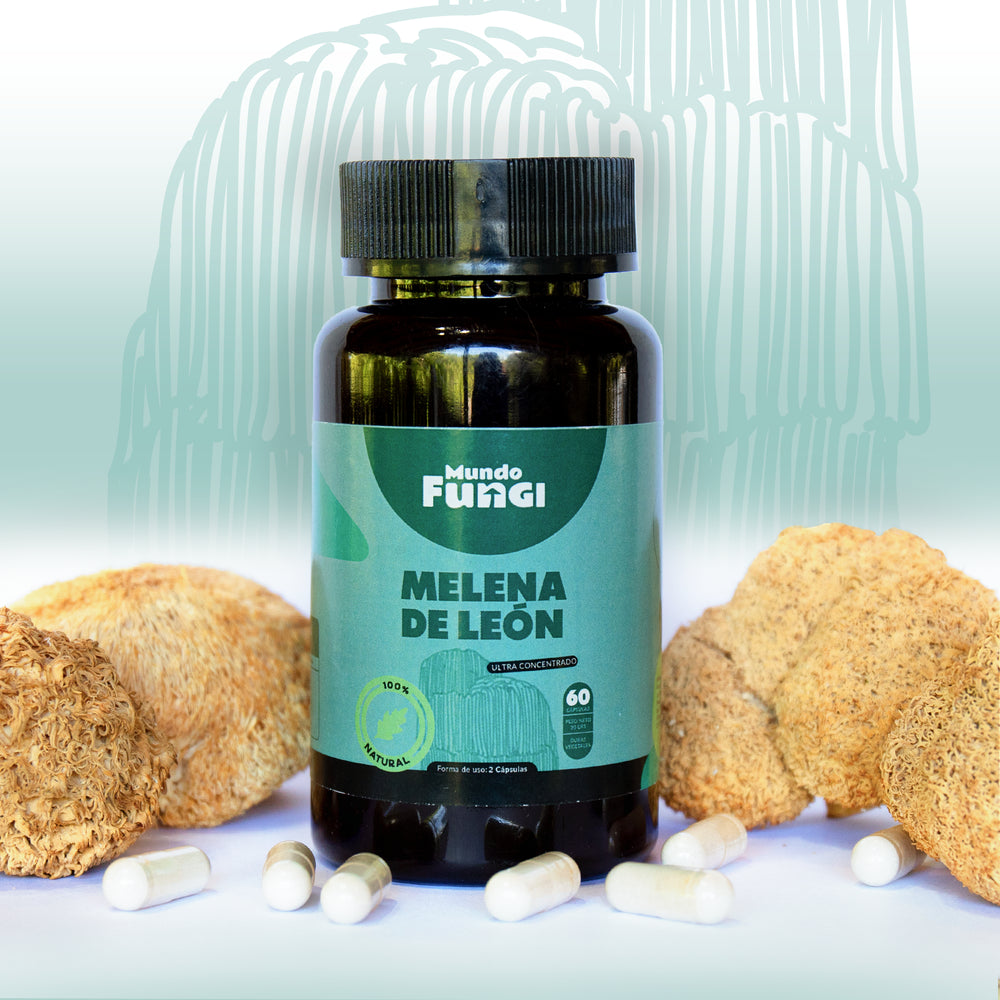 Extracto Melena de León Cápsulas - Ultra Concentrado